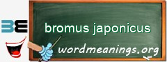 WordMeaning blackboard for bromus japonicus